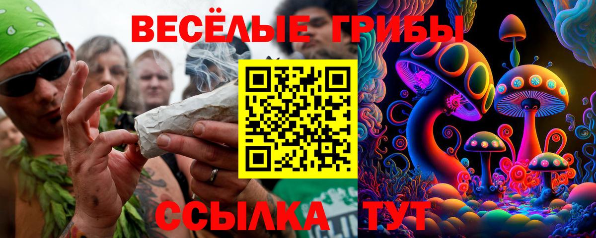 Галлюциногенные грибы MAGIC MUSHROOMS Калуга