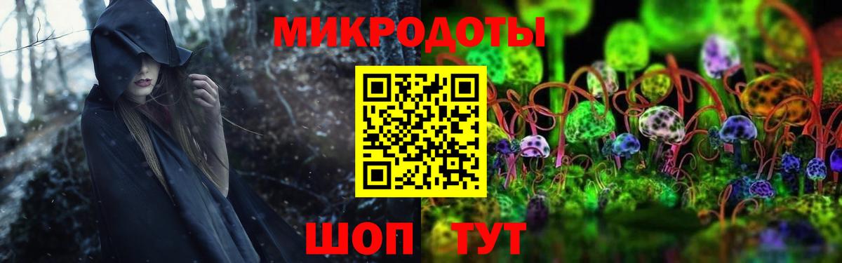 Псилоцибиновые грибы GOLDEN TEACHER  Вход с VPN  купить закладку  Калуга 